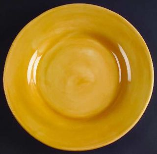 Pottery Barn Sausalito Amber Dinner Plate, Fine China Dinnerware   All Amber,Han