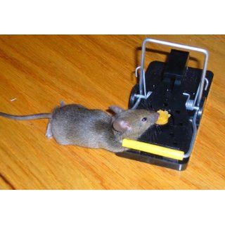 Snap E Mouse Trap by Kness [Misc.]