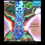 Human Anatomy   Text Only