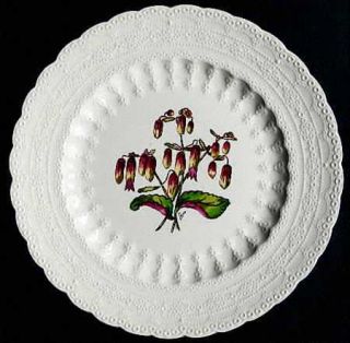 Spode Bermuda Flowers Luncheon Plate, Fine China Dinnerware   Jewel,Embossed Rim