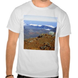 Silversword on Haleakala Crater  Rim near 2 T Shirts
