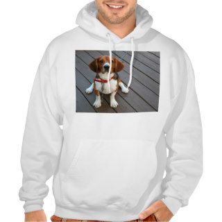 Cutest Beagle Dog Ever Sweatshirt