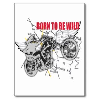Born to be wild postcards