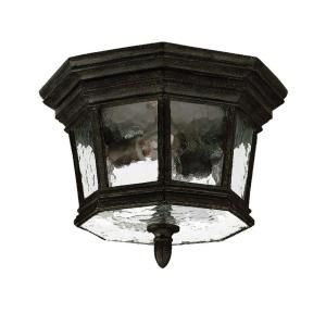 Acclaim Lighting Barrington Collection Ceiling Mount 2 Light Outdoor Black Coral Light Fixture 205BC