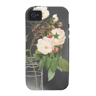 Adelaide Rose on Black iPhone 4/4S Case