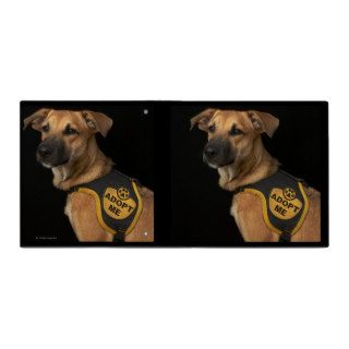 Brown rescue dog with adopt me vest 3 ring binders