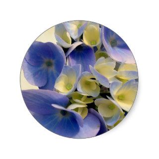 Blue Hydrangeas, "Beginnings" Round Sticker