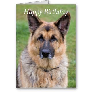 German Shepherd dog beautiful custom birthday card