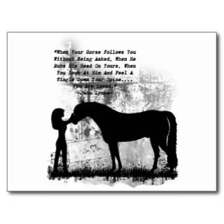 Horses  You Are Loved Post Cards