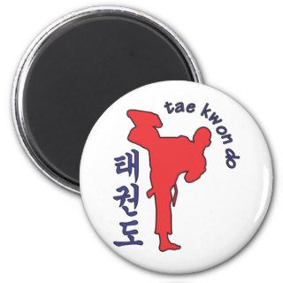 tae kwon do magnets