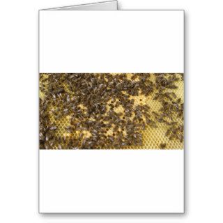 Honey Bees everywhere Greeting Card