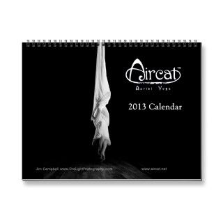 2013 Aircat Aerial Yoga Calendar
