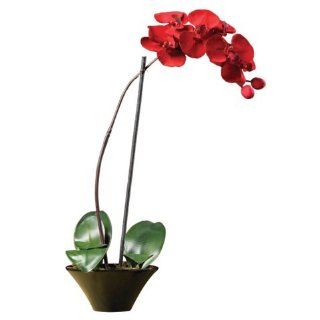 Holiday Phalaenopsis Orchid Arrangement   Artificial Plants