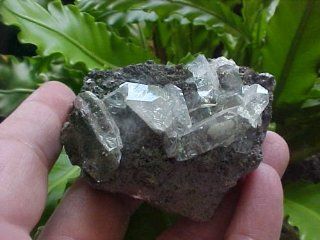 Gemqz D1201 Unusual Clear Apophyllite Cross Crystals in Matrix  Other Products  