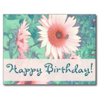 Sunflower Dreams Birthday Wish Post Card