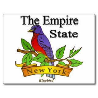 New York The Empire State Bird Post Card