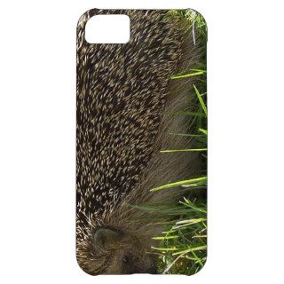 Hedgehog iPhone 5C Cases