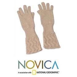Alpaca Wool 'Winter Queen' Gloves (Peru) Novica Gloves