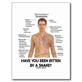 Have You Been Bitten By A Snake? (Snake Bite) Post Cards