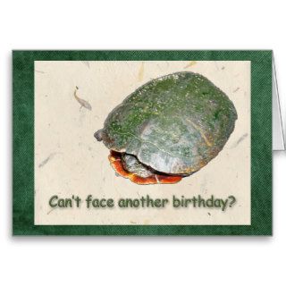Painted Turtle Birthday Greeting Card