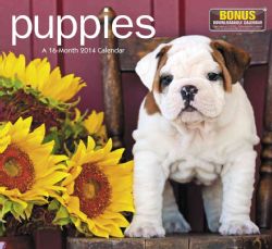 Puppies 2014 Calendar (Calendar) General