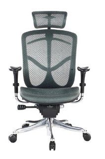 Eurotech Fuzion High Back Green Mesh Chair w/ Aluminum Base   Executive Chairs