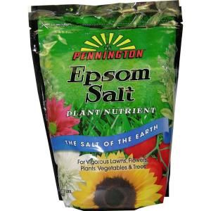 Pennington Seed 7 lb. Epsom Salt 397606