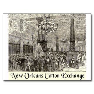 New Orleans Cotton Exchange Postcards