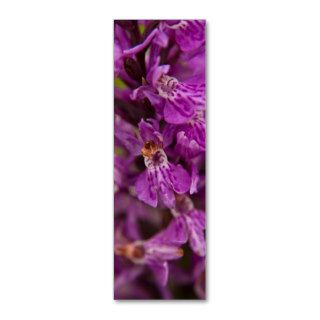 Southern Marsh Orchid Profile Card Business Cards
