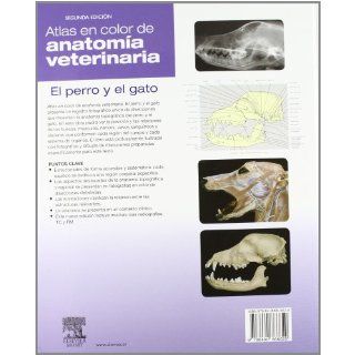 Atlas en color de anatoma veterinaria  el perro y el gato Stanley H. Done 9788480866620 Books