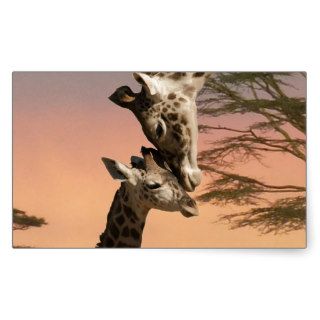 Giraffes Greeting Each Other Rectangle Sticker