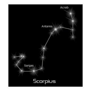 Scorpius Constellation Scorpio Zodiac Business Posters
