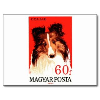 Vintage 1967 Hungary Collie Dog Postage Stamp Postcards