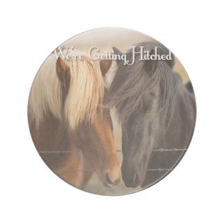 We're Getting Hitched (Two Horses) Drink Coaster