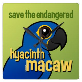 Save the Endangered Hyacinth Macaw Wall Clock