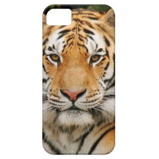 Siberian Tiger iPhone 5 case