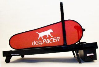Mini pacer Dog Treadmill  Pet Agility Products 