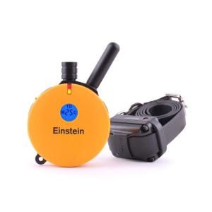 E Collar Technologies ET 400TS Einstein E Collar 3/4 Mile Remote Dog Trainer ET 400TS