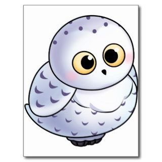 (snowy) owl postcard