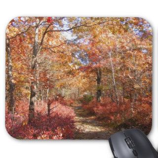 Autumn in New England 27 ~ mousepad