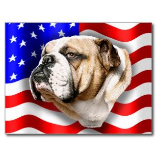 Bulldog Patriot US Flag Post Card