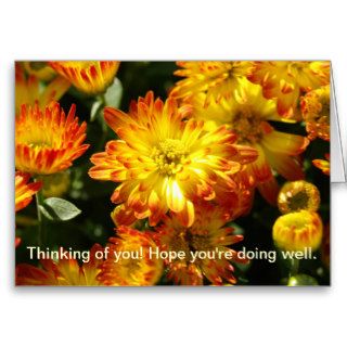 Thinking of you Hope you're doing well. Cards