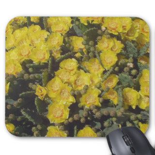 Prickly Pear Cactus Flower Mouse Pads