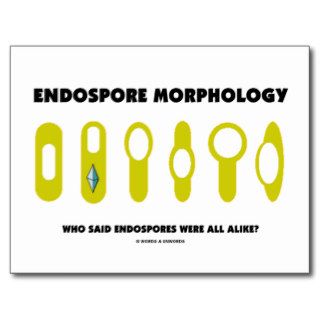 Endospore Morphology   Who Said Were All Alike? Postcard