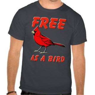 Cardinal T shirts