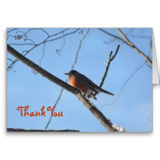 Robin In Snow Wildlife Nature Thank You Card