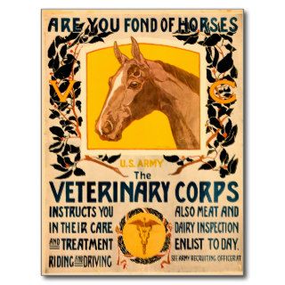 Veterinary Corps Post Card
