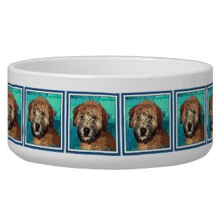 Cute Wheaten Terrier Puppy Dog with Wet Face Dog Water Bowls