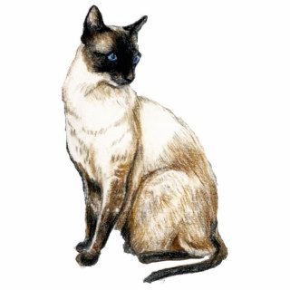 "Siamese Cat" Art Photo Sculpture