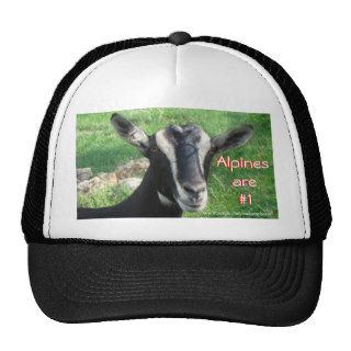 Alpine Cap customize Mesh Hats